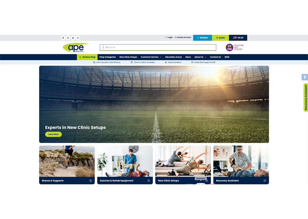 APE Website Screenshot
